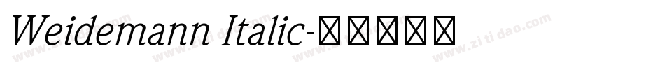 Weidemann Italic字体转换